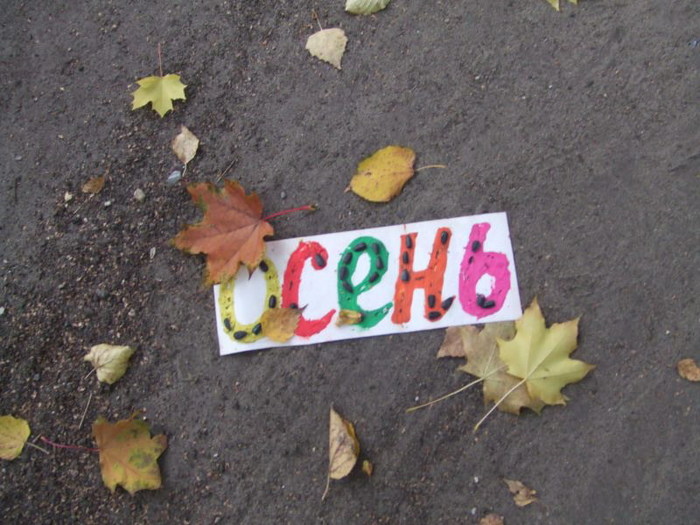  (700x525, 102Kb)