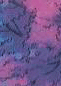  (61x86, 15Kb)