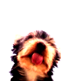  (120x160, 35Kb)