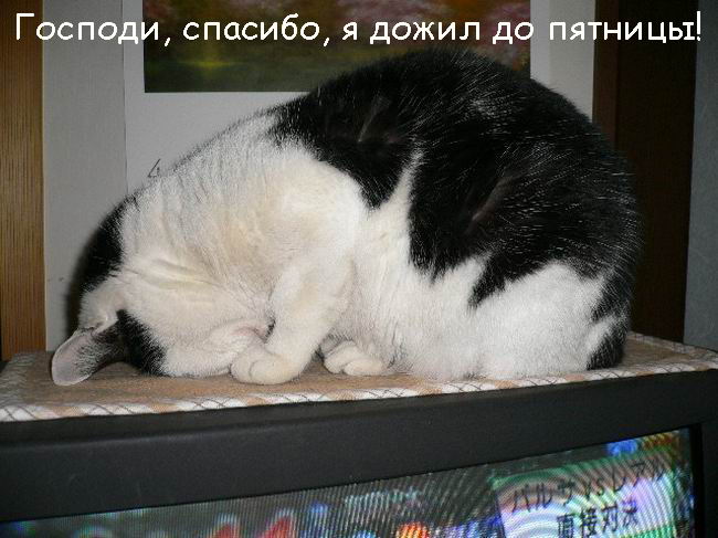  (650x487, 57Kb)