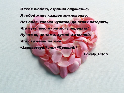  (500x375, 62Kb)