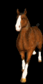  (62x120, 38Kb)
