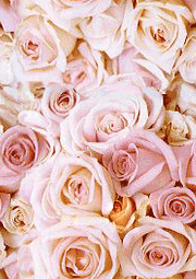  (180x255, 30Kb)
