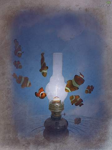 (360x480, 16Kb)