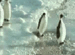 (150x110, 481Kb)
