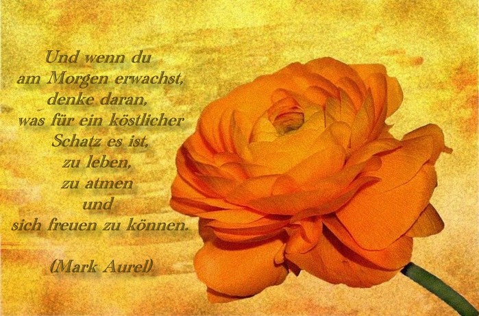  (699x461, 122Kb)