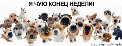  (400x152, 28Kb)