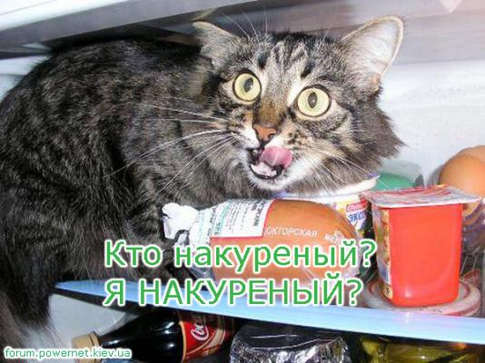  (534x400, 46Kb)