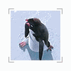  (100x100, 36Kb)