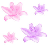  (200x200, 16Kb)