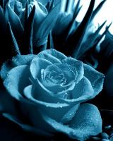  (160x200, 8Kb)