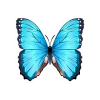  (200x200, 18Kb)