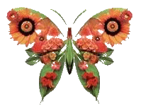  (199x153, 13Kb)