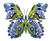  (175x145, 15Kb)