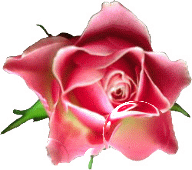  (192x170, 290Kb)