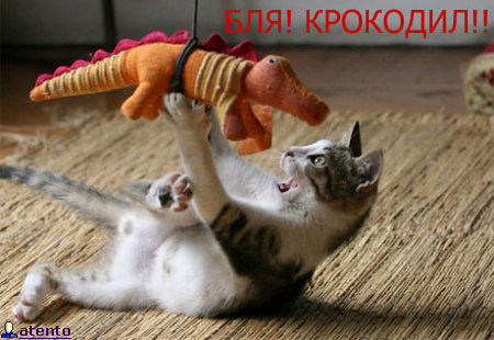  (450x310, 39Kb)