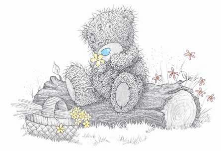 Сказка "Почему у мишки Teddy синий нос?" Сказка "Почему у мишки Teddy синий нос?"