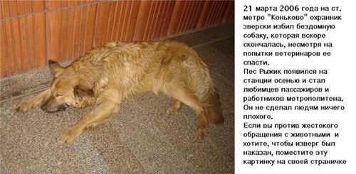  (500x245, 34Kb)