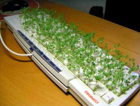  (467x355, 21Kb)