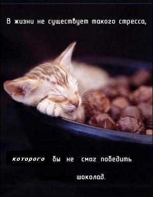  (300x386, 15Kb)