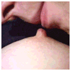  (100x100, 38Kb)