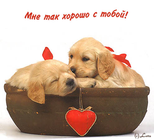 Открытка любимому ты лучший Открытка любимому ты лучший