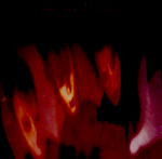  (150x147, 31Kb)