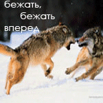  (150x150, 85Kb)