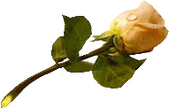  (191x122, 8Kb)