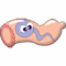  (60x60, 3Kb)