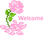  (93x77, 2Kb)