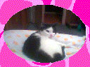  (128x96, 8Kb)