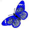  (100x101, 6Kb)