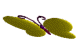  (84x49, 6Kb)