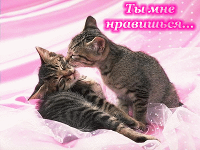  (400x300, 77Kb)