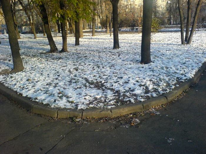  (700x525, 91Kb)