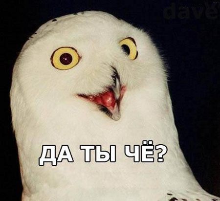  (450x411, 31Kb)