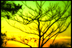  (150x101, 49Kb)
