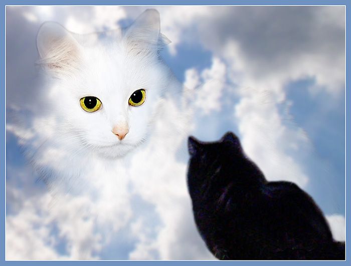  (700x531, 44Kb)