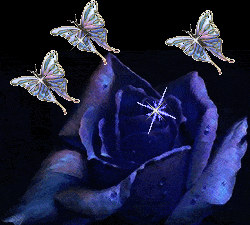 (250x225, 42Kb)