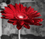  (150x131, 17Kb)