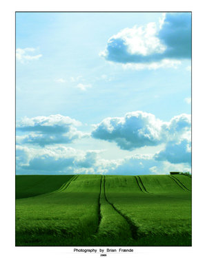  (300x375, 23Kb)