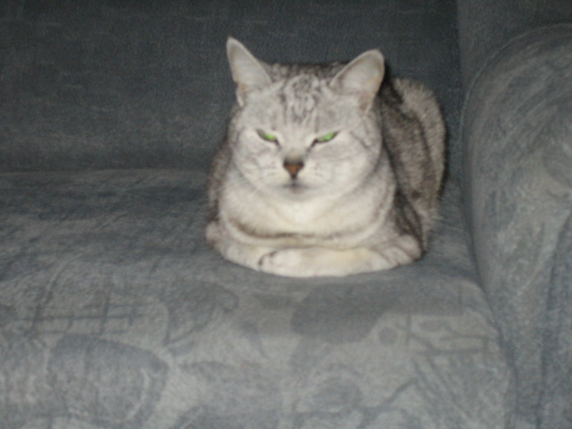  (640x480, 76Kb)