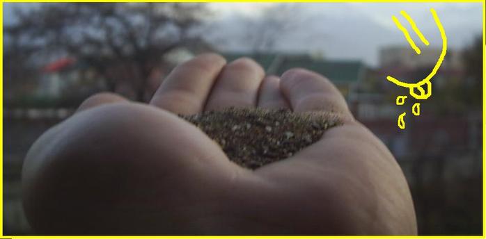  (698x344, 28Kb)