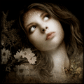  (120x120, 12Kb)