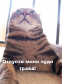  (124x166, 19Kb)