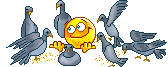  (168x67, 47Kb)