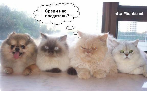  (575x358, 26Kb)