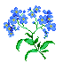  (71x71, 2Kb)