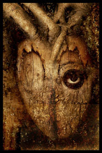  (200x300, 30Kb)